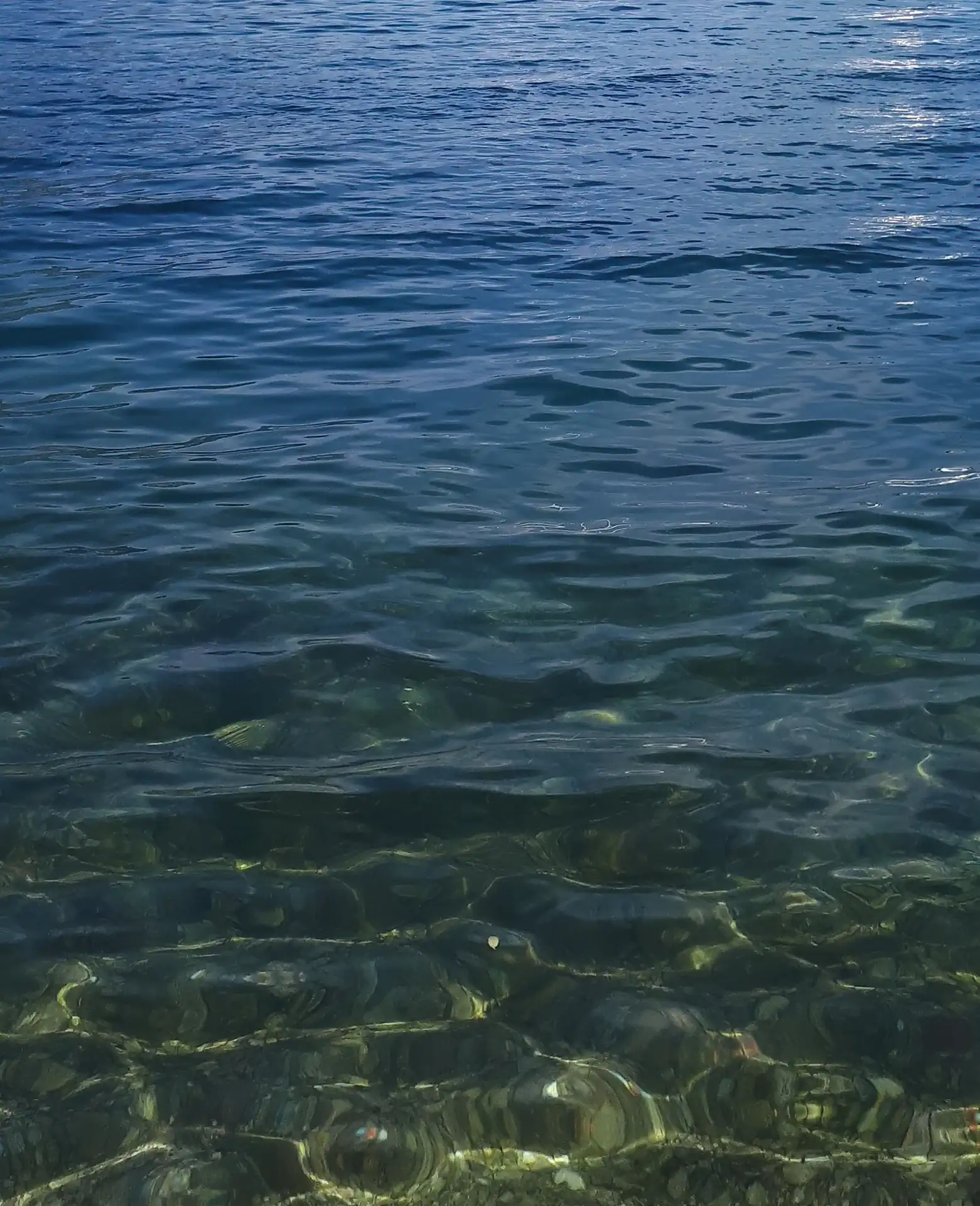 Contatti Bkg Prestige Boat